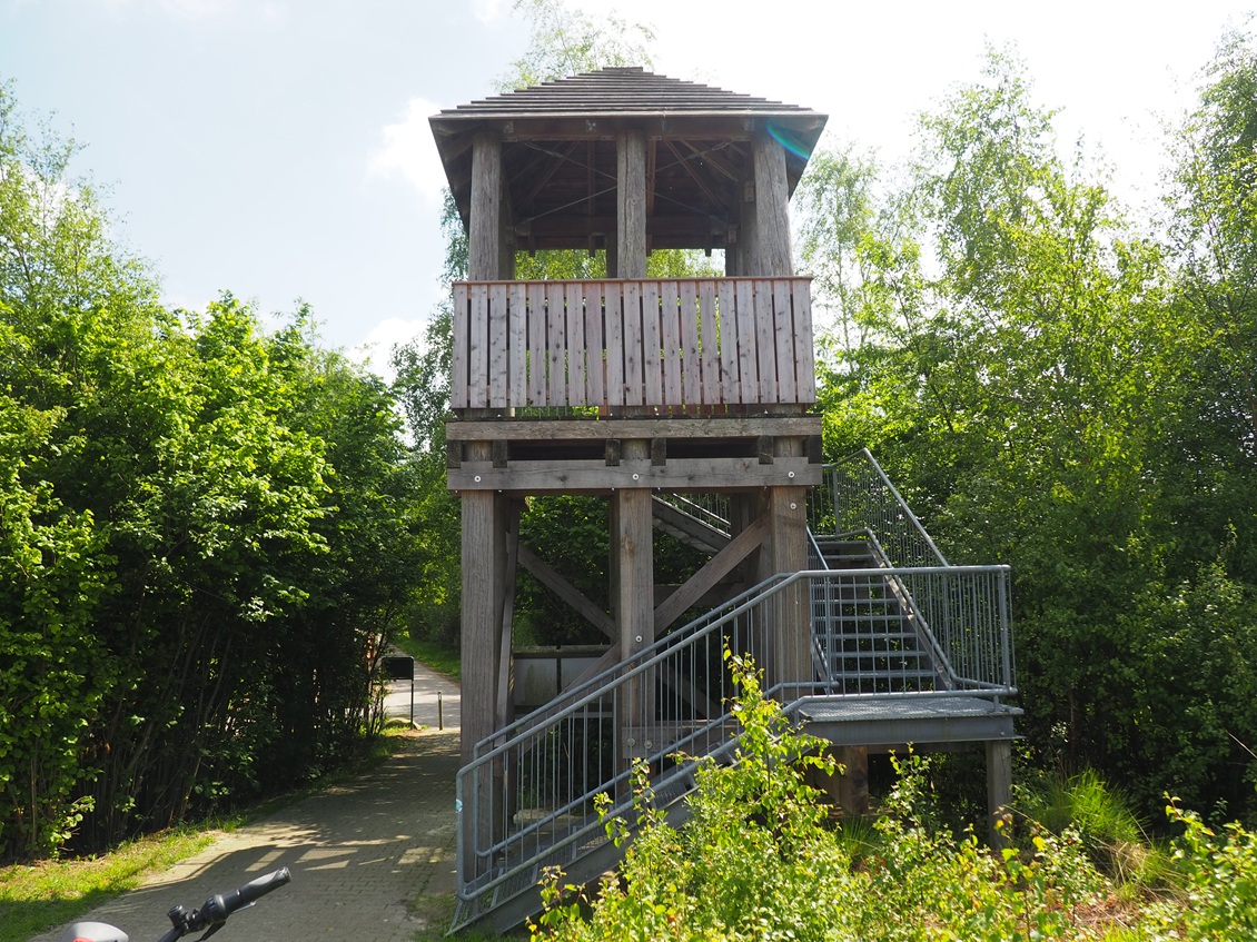 P5091287 Bargerveen Aussichtsturm 1130